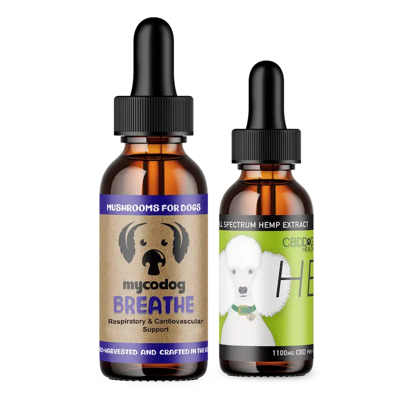 cbd bundle for dogs cbd kit mushrooms for dogs hemp for dogs