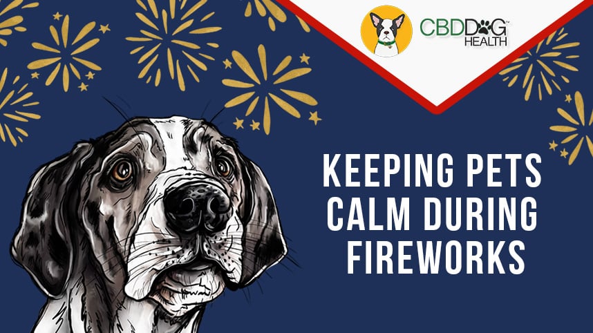 Keeping Pets Calm During Fireworks: Natural Support Strategies