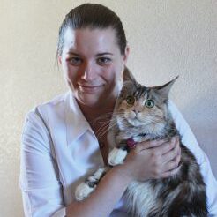 vet approved CBD for dogs pets cat CBD review