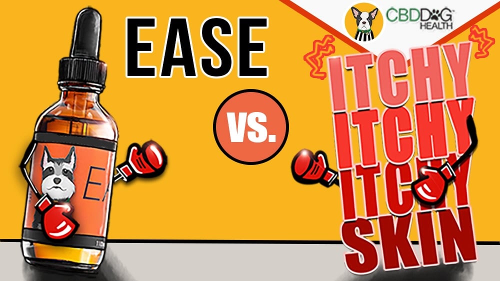 Looking for Apoquel Alternatives? Natural Ways to Support Dogs with Itchy Skin